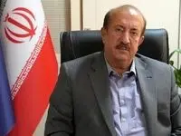 سخنگوی وزارت صمت: سودجویان پشت پرده التهاب بازار خودرو | هیچ ممنوعیتی در واردات نداریم