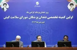 تشکیل کمیته های تخصصی شورای سلامت کیش