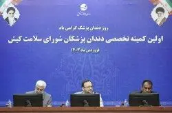تشکیل کمیته های تخصصی شورای سلامت کیش