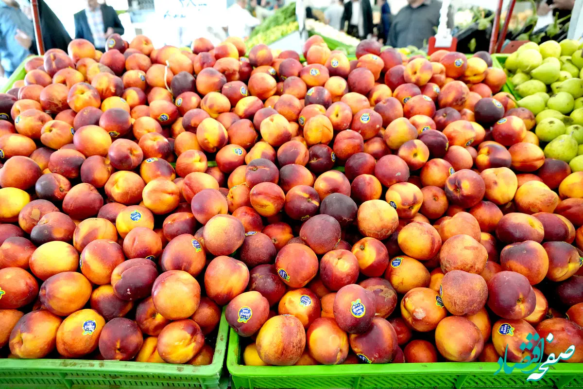 جدیدترین قیمت میوه و تره بار امروز ۲۸ آذر ۱۴۰۳ در بازار تهران به صورت آنلاین