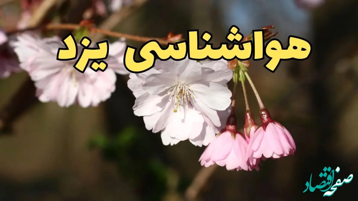 پیش بینی هواشناسی یزد ۲۴ ساعت آینده | وضعیت آب و هوا یزد فردا سه شنبه ۱۲ فروردین ماه ۱۴۰۴ | آب و هوای یزد در روز ۱۳ بدر 