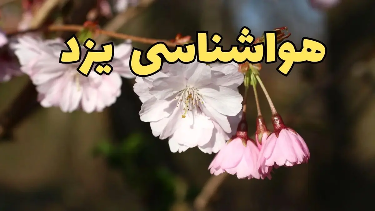پیش بینی هواشناسی یزد ۲۴ ساعت آینده | وضعیت آب و هوا یزد فردا سه شنبه ۱۲ فروردین ماه ۱۴۰۴ | آب و هوای یزد در روز ۱۳ بدر