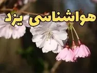 پیش بینی هواشناسی یزد ۲۴ ساعت آینده | وضعیت آب و هوا یزد فردا سه شنبه ۱۲ فروردین ماه ۱۴۰۴ | آب و هوای یزد در روز ۱۳ بدر 