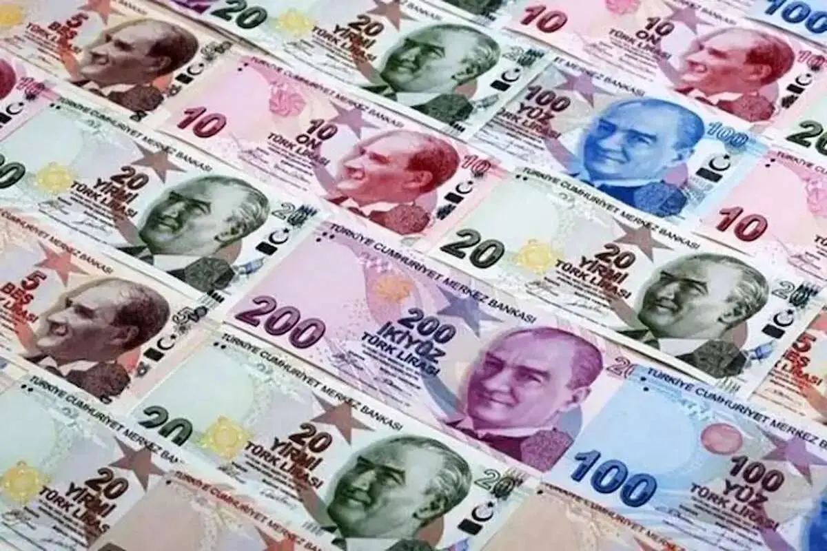 جدیدترین قیمت لیر ترکیه امروز جمعه ۵ بهمن ماه ۱۴۰۳ | لیر چقدر گران شد؟ 