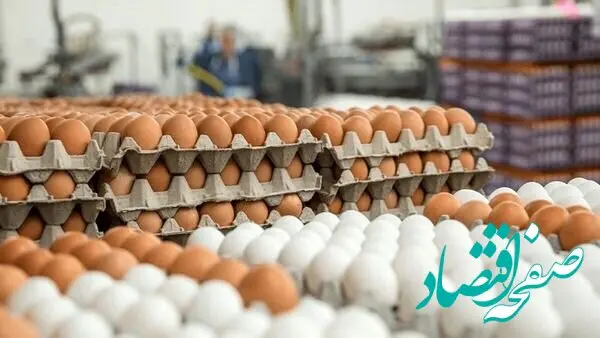 ۷۵ تن تخم مرغ احتکاری در این شهر کشف شد