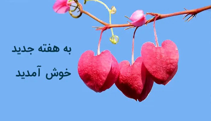 متن روز شنبه اول هفته بخیر / استوری اول هفته