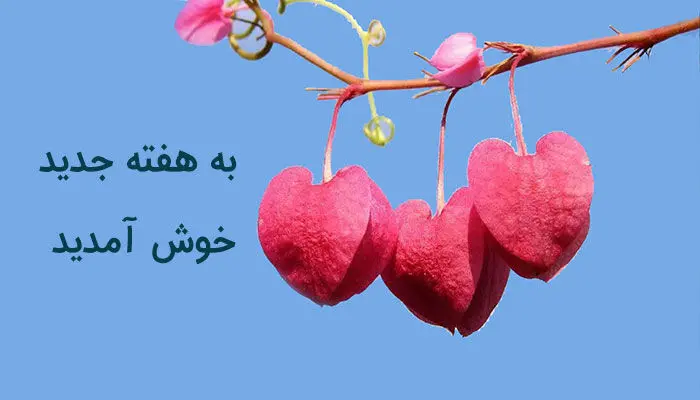 متن روز شنبه اول هفته بخیر / استوری اول هفته 