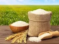 پیش‌بینی قیمت برنج پس از حذف ارز ۲۸.۵۰۰ تومانی