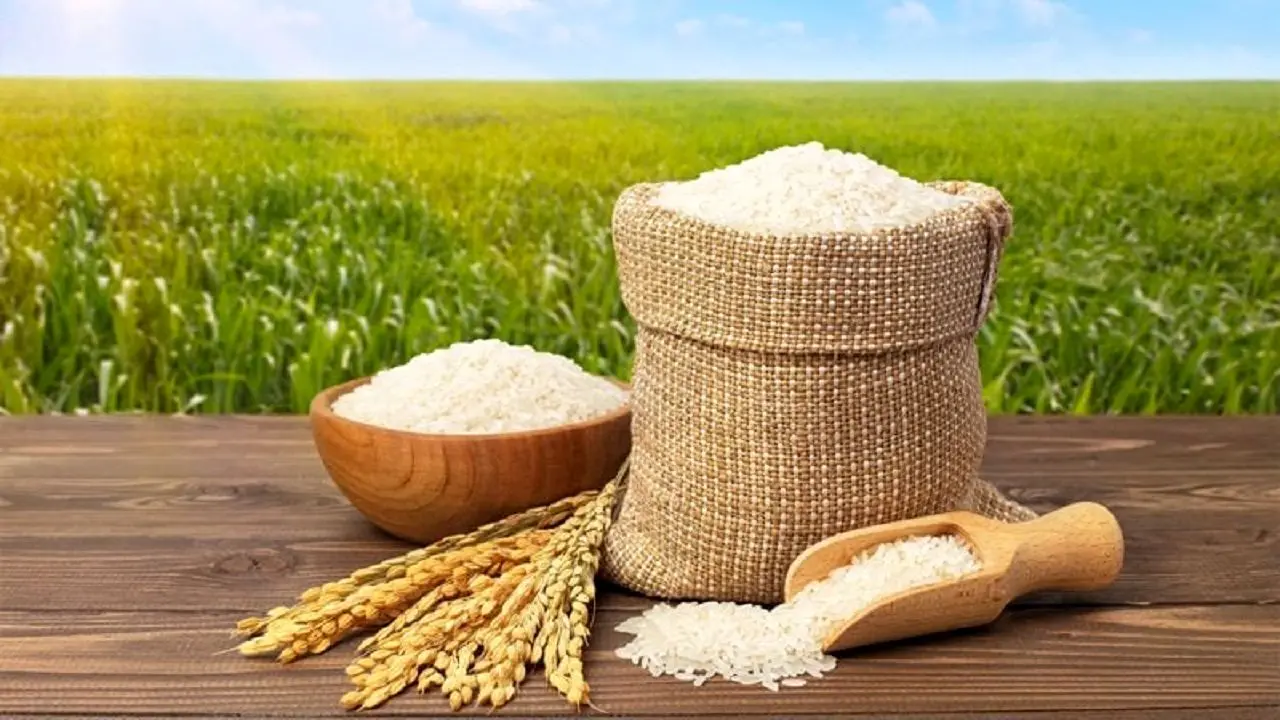 پیش‌بینی قیمت برنج پس از حذف ارز ۲۸.۵۰۰ تومانی