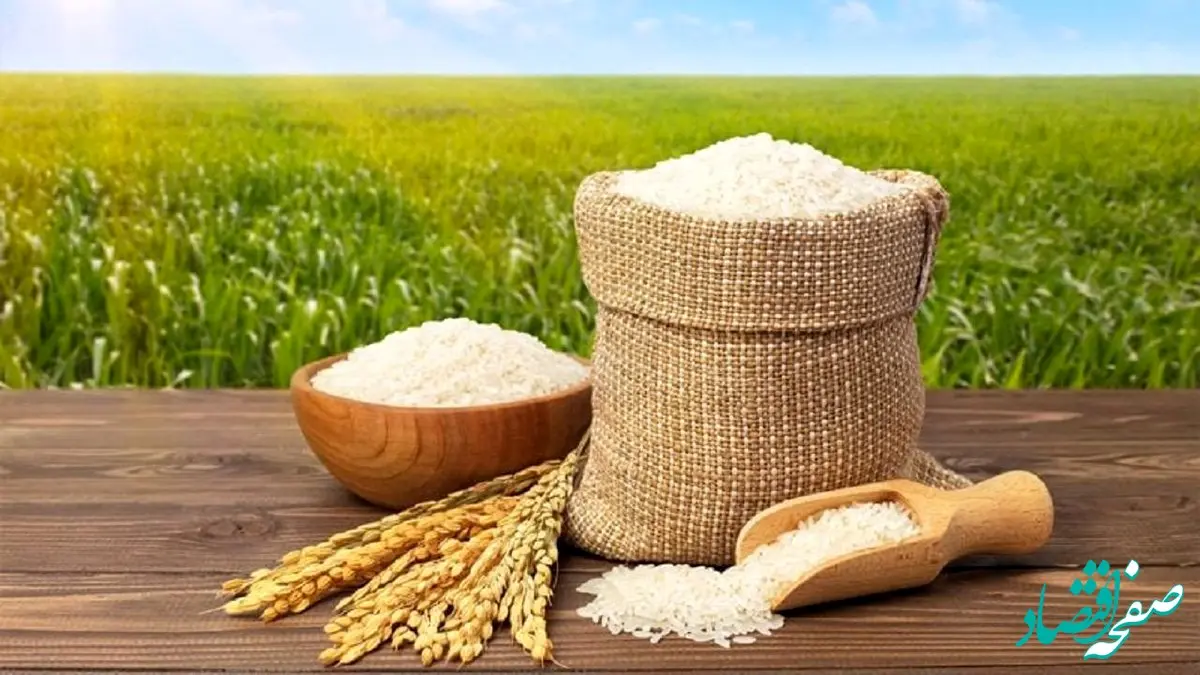 پیش‌بینی قیمت برنج پس از حذف ارز ۲۸.۵۰۰ تومانی