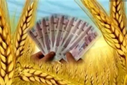 پول گندمکاران کجاست ؟