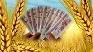 پول گندمکاران کجاست ؟