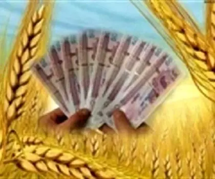 پول گندمکاران کجاست ؟