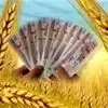 پول گندمکاران کجاست ؟