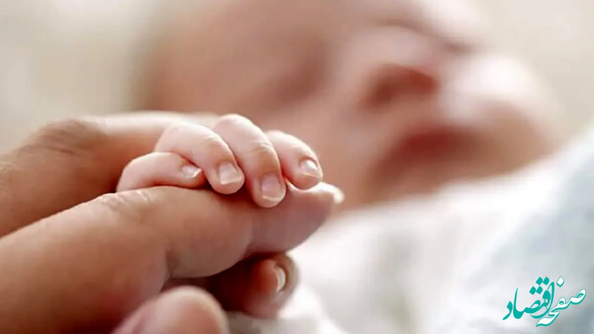 فوری | با تولد پسر سنگین وزن ایران در سردشت همه شوکه شدند