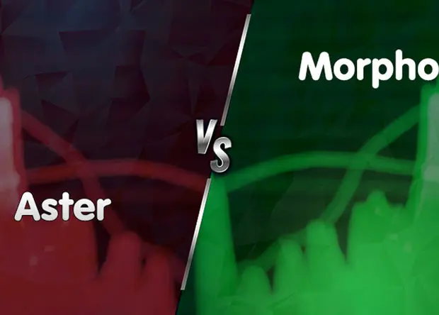 طلای دیجیتال اوج گرفت؛ استر و پامپ در سراشیبی سقوط  