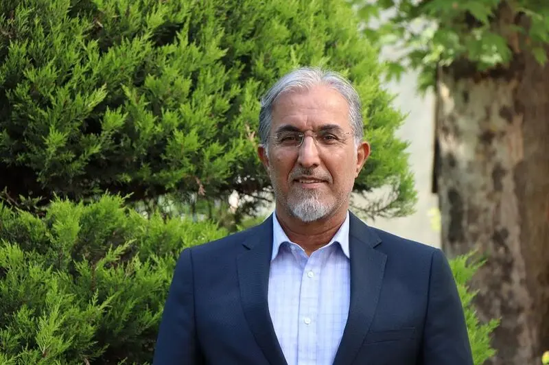 حسین راغفر تحلیلگر اقتصادی