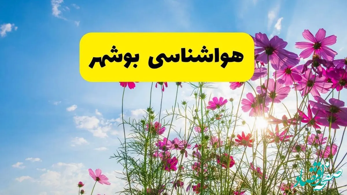 هواشناسی بوشهر ۲۴ ساعت آینده | پیش بینی وضعیت آب و هوا بوشهر فردا شنبه ۳ خرداد ۱۴۰۴ + آب و هوای استان بوشهر