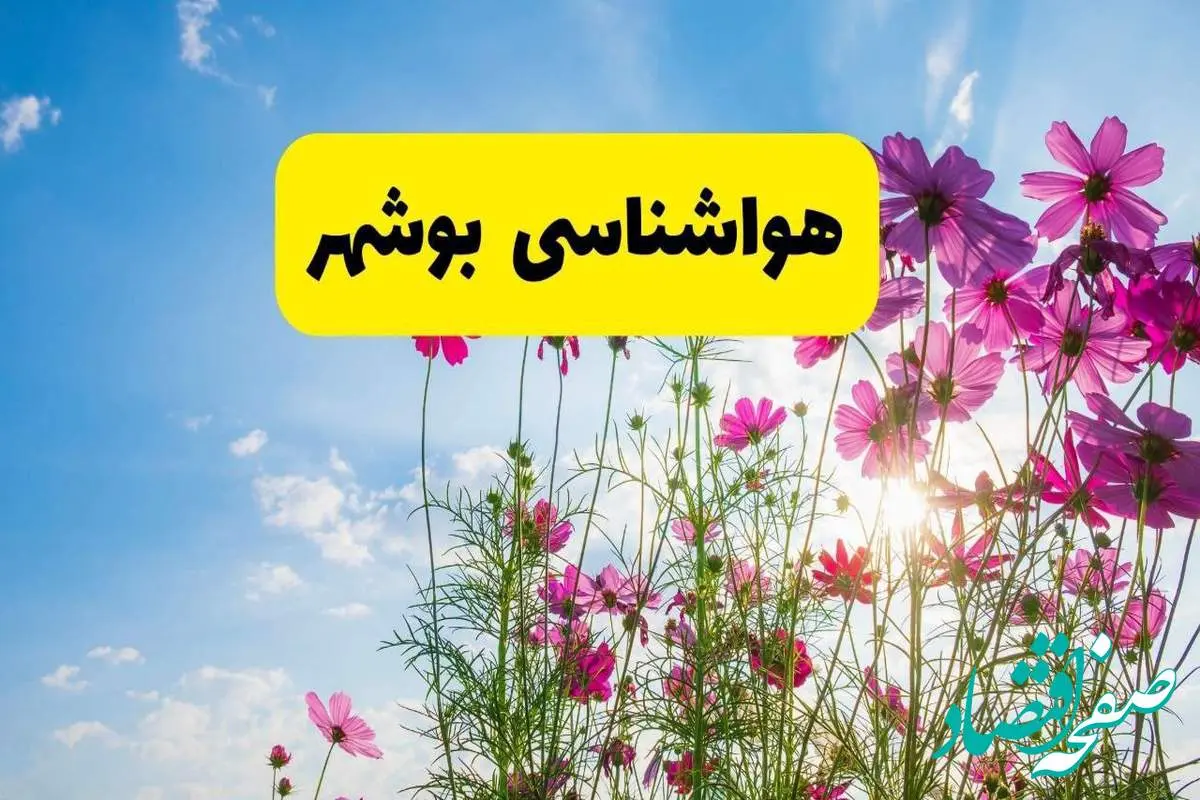 هواشناسی بوشهر ۲۴ ساعت آینده | پیش بینی وضعیت آب و هوا بوشهر فردا شنبه ۳ خرداد ۱۴۰۴ + آب و هوای استان بوشهر