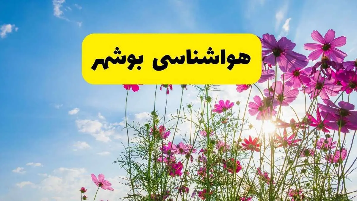 هواشناسی بوشهر ۲۴ ساعت آینده | پیش بینی وضعیت آب و هوا بوشهر فردا شنبه ۳ خرداد ۱۴۰۴ + آب و هوای استان بوشهر