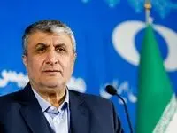 اسلامی: آماده رونمایی از ۲۰ دستاورد هسته‌ای در ایام دهه فجر هستیم