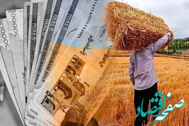 آخرین خبر از پرداخت مطالبات گندمکاران امروز چهارشنبه ۶ خرداد ۱۴۰۵ | پرداخت مطالبات توسط این سازمان