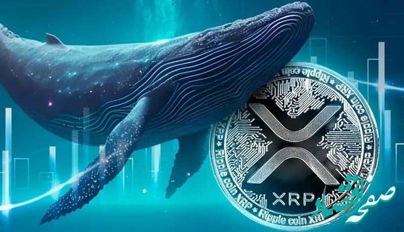 چرا نهنگ‌ها ریپل را ارزان می‌خرند؟ هشدار به سرمایه‌گذاران خرد