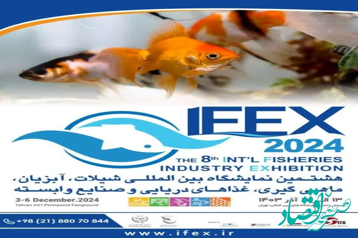 حضور بنیاد برکت در هشتیمن دوره از نمایشگاه شیلات و صنایع وابسته/افتتاح 4طرح آبزی پروری از طریق ویدئو کنفرانس