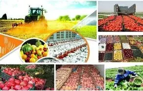 رشد ۳۲ درصدی صادرات محصولات کشاورزی در ۴ ماهه سال جاری/ پسته قلم اول کالای صادراتی محصولات کشاورزی