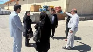 تأکید بر هوشمندسازی فرآیندهای لجستیکی در بازدید میدانی مشاورین مدیرعامل سازمان منطقه آزاد ماکو
