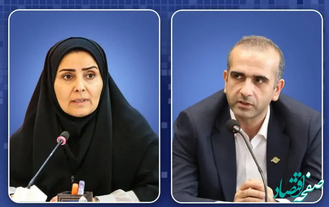 همکاری در زمینه طرح جامع، فرودگاه و مجتمع‌های بندری منطقه آزاد انزلی