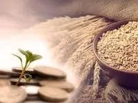 مبلغ فطریه رمضان ۱۴۴۶ به تفکیک استانها | زکات فطره استان ها