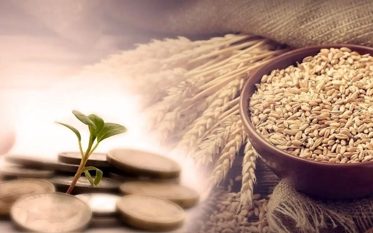 مبلغ فطریه رمضان ۱۴۴۶ به تفکیک استانها | زکات فطره استان ها