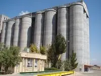 این روز در شهریور ماه؛ آخرین فرصت تحویل گندم به مراکز خرید تضمینی