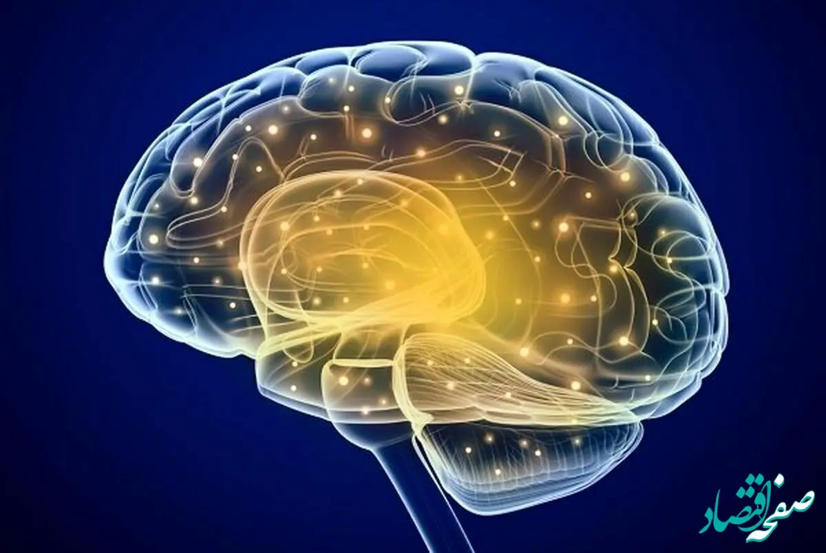 مغز، پیر می‌شود اما ناگهانی! | چکار کنیم مغزمان پیر نشود؟