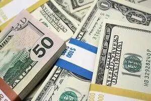 دولت برنامه‌های آتی اقتصادی بعد از حذف ارز ترجیحی را اعلام کند