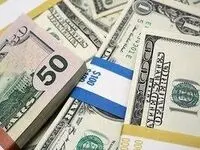 دولت برنامه‌های آتی اقتصادی بعد از حذف ارز ترجیحی را اعلام کند