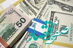 دولت برنامه‌های آتی اقتصادی بعد از حذف ارز ترجیحی را اعلام کند