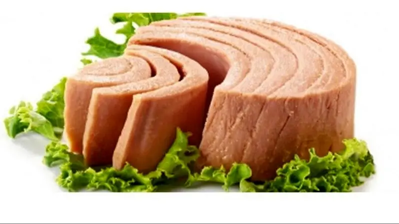 افزایش قیمت کنسرو ماهی: ۱۱۹ هزار تومان برای یک عدد کنسرو!