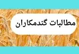 آخرین خبر از پرداخت مطالبات گندمکاران امروز چهارشنبه ۱۵ مرداد ماه ۱۴۰۴ | زمان پرداخت مطالبات گندمکاران 