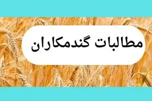 آخرین خبر از پرداخت مطالبات گندمکاران امروز چهارشنبه ۱۳ خرداد ۱۴۰۵ | چند همت پرداخت شد؟ 