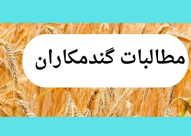 تأخیر در پرداخت مطالبات گندمکاران؛ تهدیدی برای امنیت غذایی و کشاورزی ایران | توجیهی برای تأخیر در پرداخت وجود ندارد