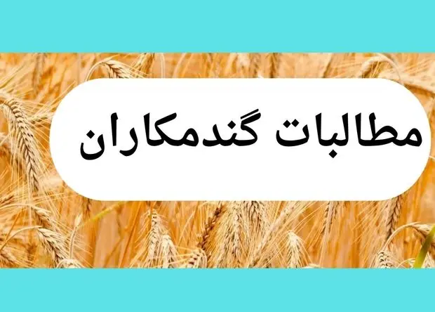 آخرین خبر از پرداخت مطالبات گندمکاران امروز چهارشنبه ۱۳ خرداد ۱۴۰۵ | چند همت پرداخت شد؟ 