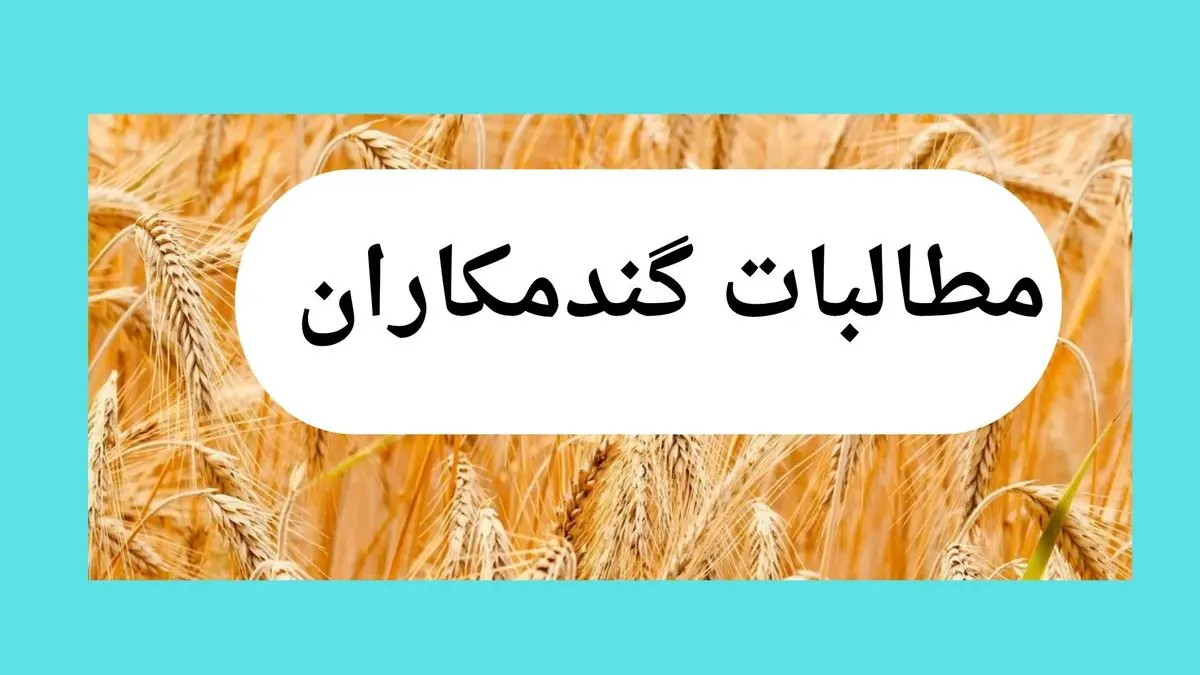 آخرین خبر از پرداخت مطالبات گندمکاران امروز چهارشنبه ۱۳ خرداد ۱۴۰۵ | چند همت پرداخت شد؟ 