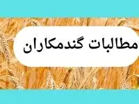 تأخیر در پرداخت مطالبات گندمکاران؛ تهدیدی برای امنیت غذایی و کشاورزی ایران | توجیهی برای تأخیر در پرداخت وجود ندارد