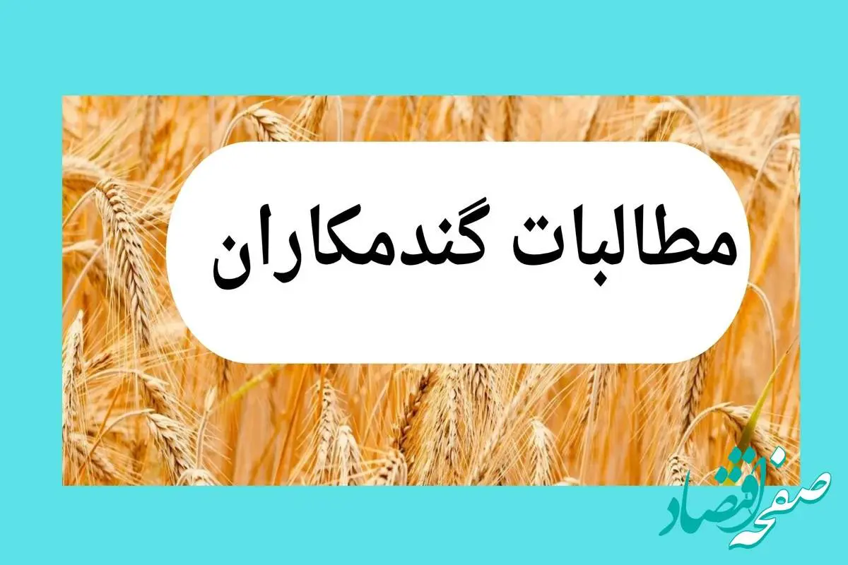 تأخیر در پرداخت مطالبات گندمکاران؛ تهدیدی برای امنیت غذایی و کشاورزی ایران | توجیهی برای تأخیر در پرداخت وجود ندارد