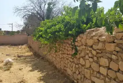 ثبت‌نام زمین رایگان روستایی ۱۴۰۵ از امروز آغاز شد + شرایط و نحوه دریافت