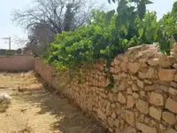 ثبت‌نام زمین رایگان روستایی ۱۴۰۵ از امروز آغاز شد + شرایط و نحوه دریافت