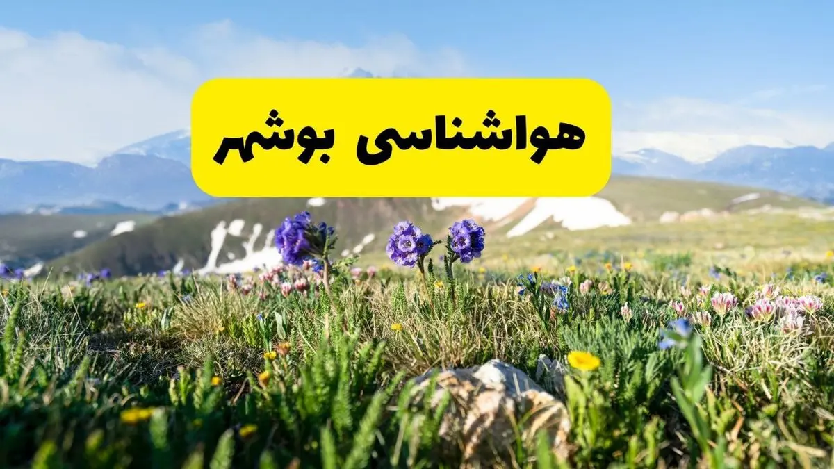 اخبار پیش‌بینی هواشناسی بوشهر فردا چهارشنبه ۷ خرداد ۱۴۰۴ | هواشناسی بوشهر فردا هفتم خرداد ماه | پیش‌بینی آب‌وهوای استان بوشهر در ۲۴ ساعت آینده