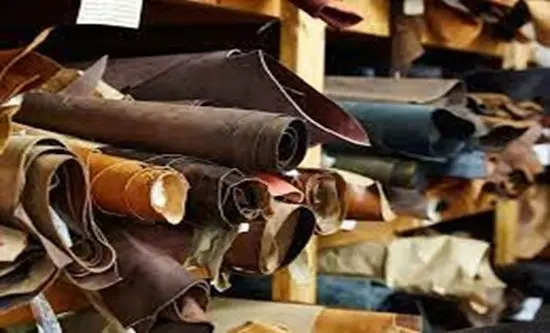 بررسی وضعیت صنعت چرم هند 2024